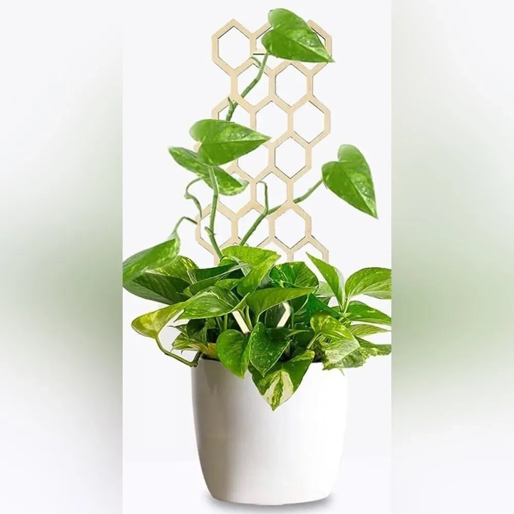 Mini Trellis